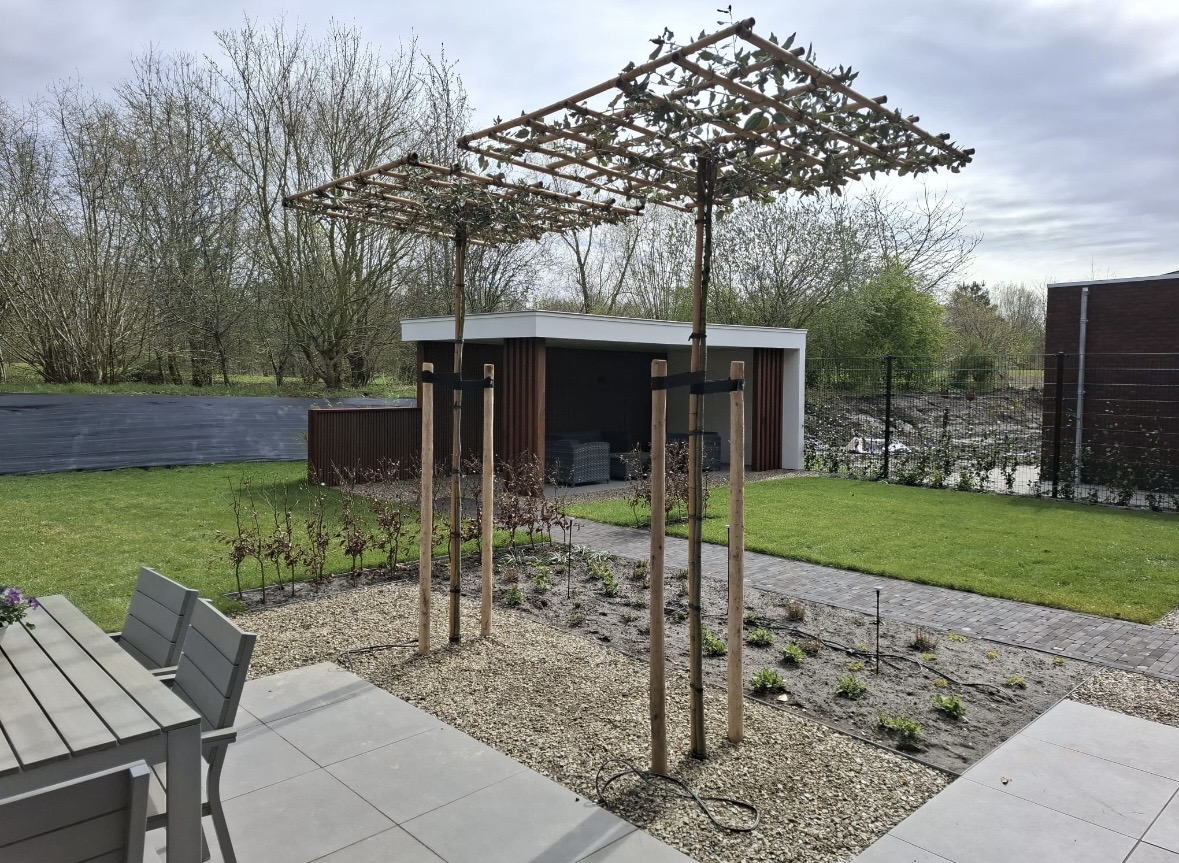 Tuin met leibomen, grind, gazon, bestrating en strakke buitenberging
